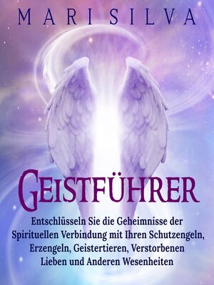cover image of Geistführer